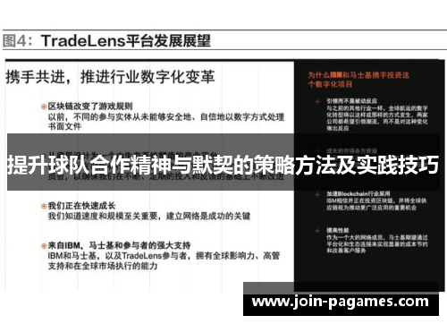 提升球队合作精神与默契的策略方法及实践技巧