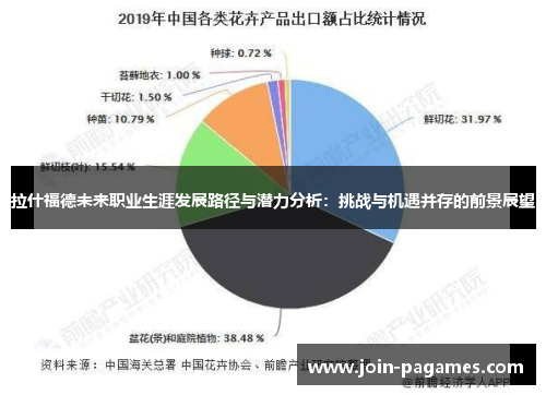 拉什福德未来职业生涯发展路径与潜力分析：挑战与机遇并存的前景展望