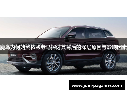 魔鸟为何始终依赖老马探讨其背后的深层原因与影响因素 魔鸟为何始终依赖老马探讨其背后的深层原因与影响因素