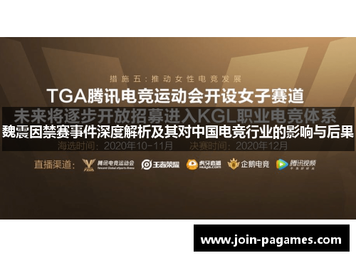 魏震因禁赛事件深度解析及其对中国电竞行业的影响与后果 魏震因禁赛事件深度解析及其对中国电竞行业的影响与后果