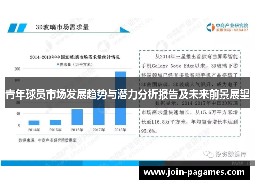 青年球员市场发展趋势与潜力分析报告及未来前景展望