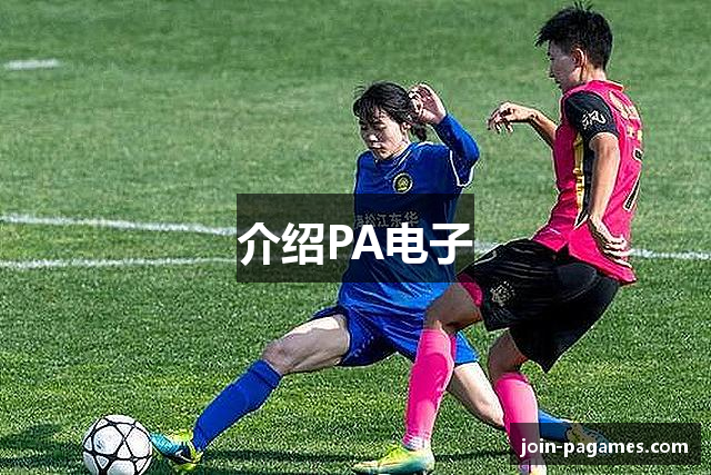 介绍PA电子